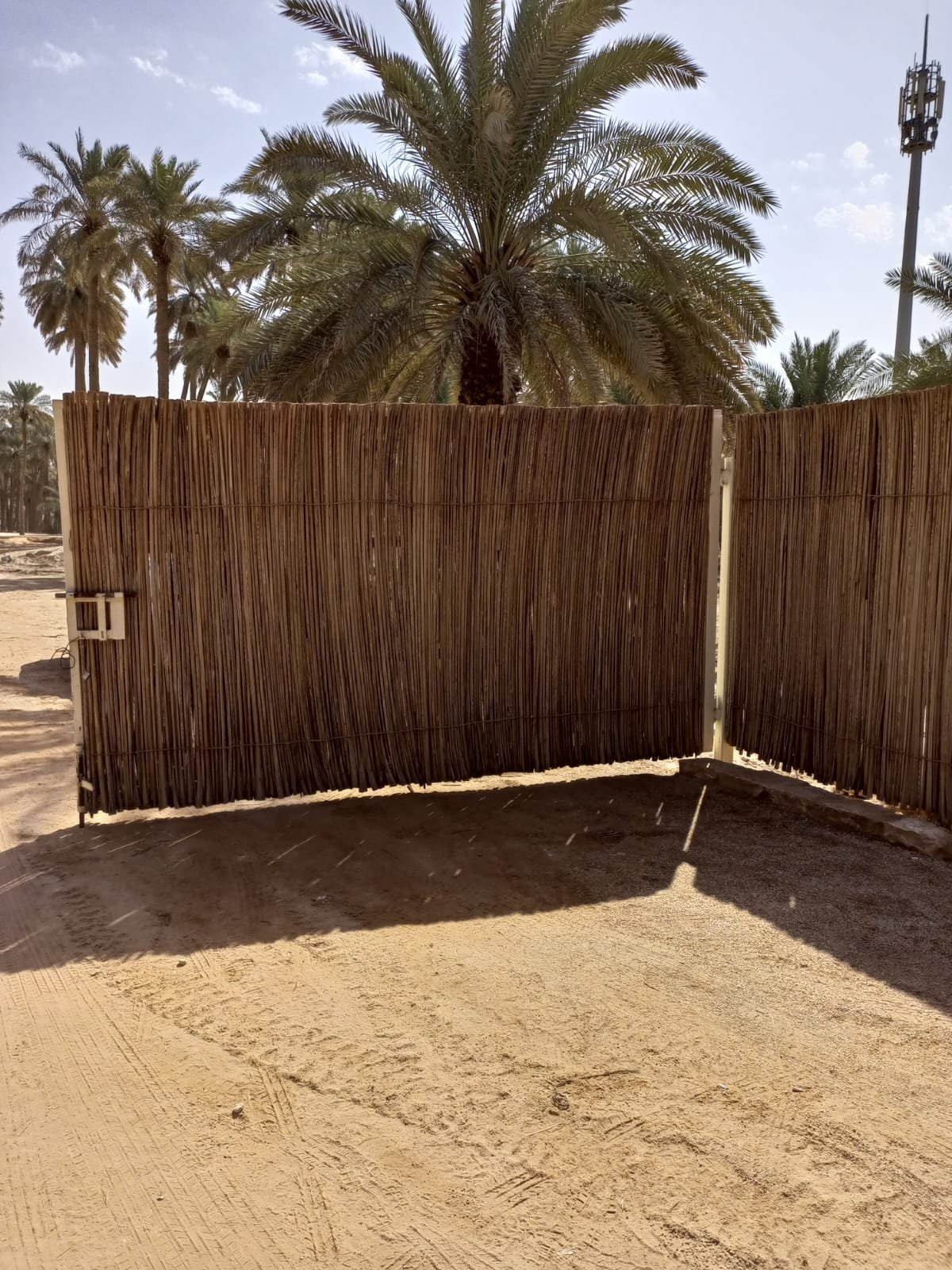 الرياض الخضراء